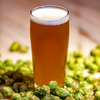 Fresh Hop Beer Box 2025
