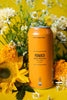 Aslan Brewing Beer Box