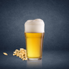 Non-Alcoholic Beer