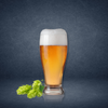 IPA